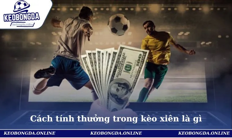 Cách tính thưởng trong kèo xiên là gì