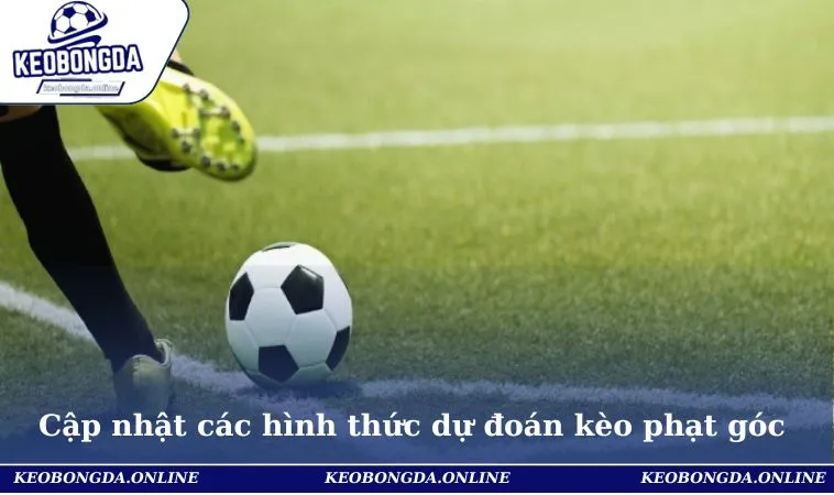 Cập nhật các hình thức dự đoán kèo phạt góc