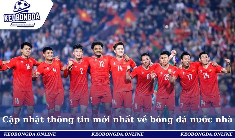 Cập nhật thông tin mới nhất về bóng đá nước nhà