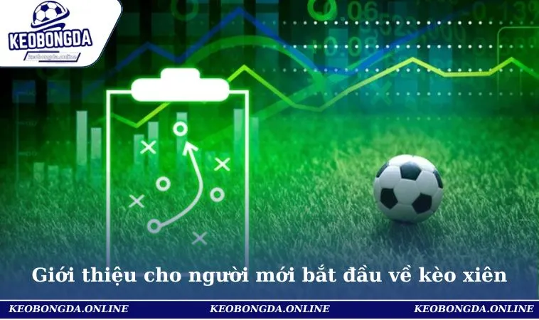 Giới thiệu cho người mới bắt đầu về kèo xiên