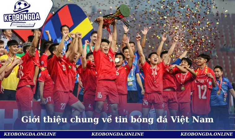 Giới thiệu chung về tin bóng đá Việt Nam