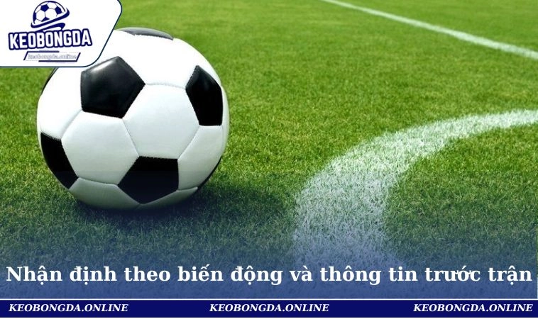 Mẹo nhận định kèo theo biến động và thông tin trước trận