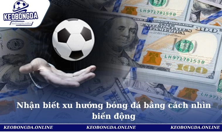 Nhận biết xu hướng bóng đá bằng cách nhìn biến động