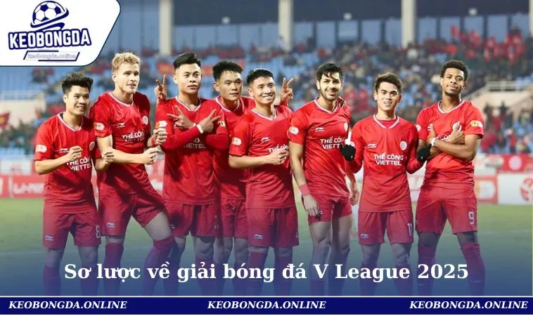 Sơ lược về giải bóng đá V League 2025