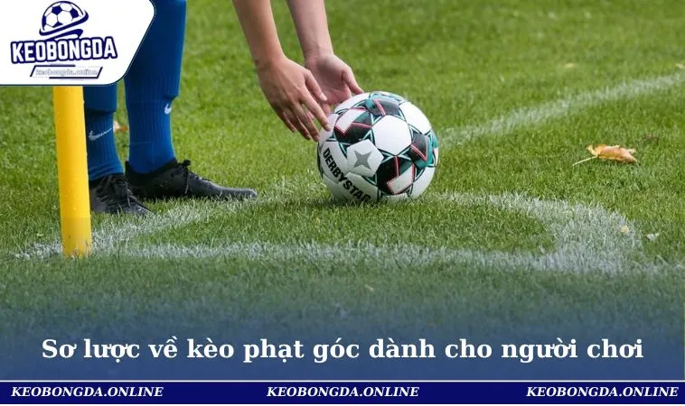 Sơ lược về kèo phạt góc dành cho người chơi