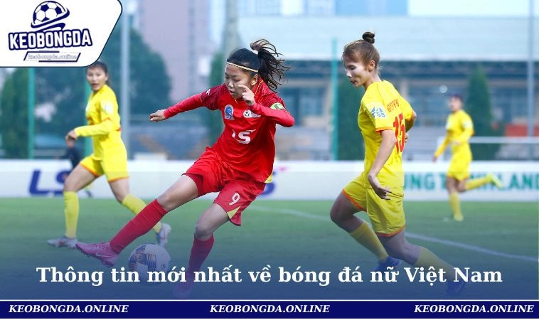 Cập nhật mới nhất về đội bóng đá nữ Việt Nam