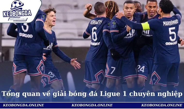 Tổng quan về giải bóng đá Ligue 1 chuyên nghiệp