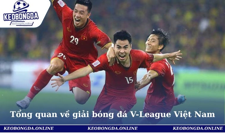 Tổng quan về giải đấu bóng đá V-League Việt Nam