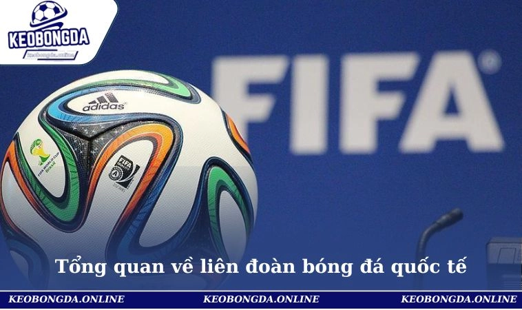 Khái quát chung về liên đoàn bóng đá quốc tế